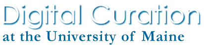 Digital Curation Logo